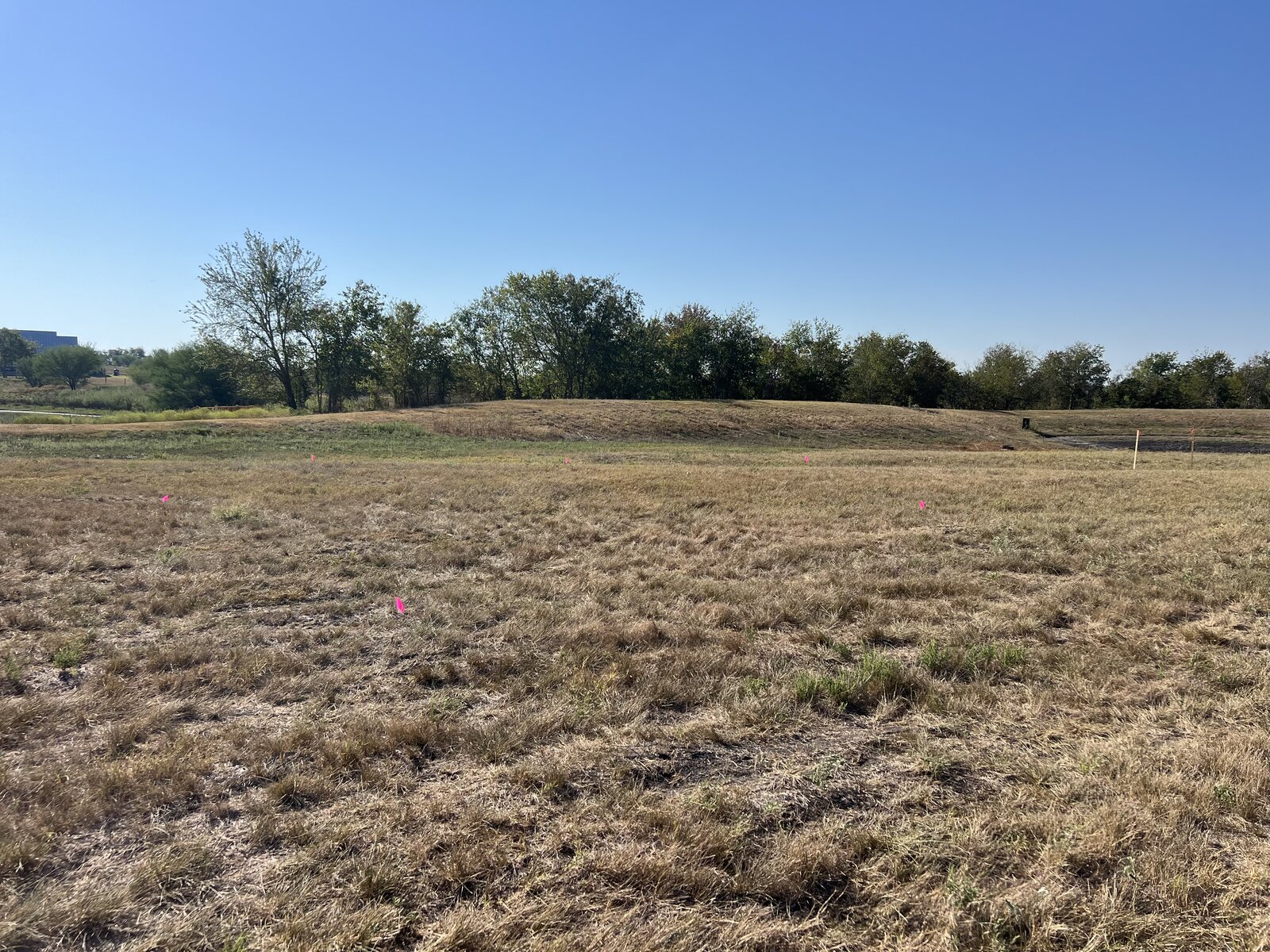 Open pasture at Round Top Fold in Fayette County, Texas