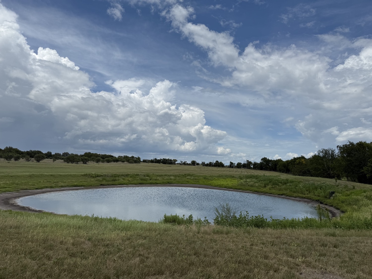 Pond and open pasture on the Round Top Fold property in Fayette County, Texas
